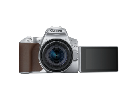 Canon EOS 250D + 18-55mm IS STM, Silver.Picture5